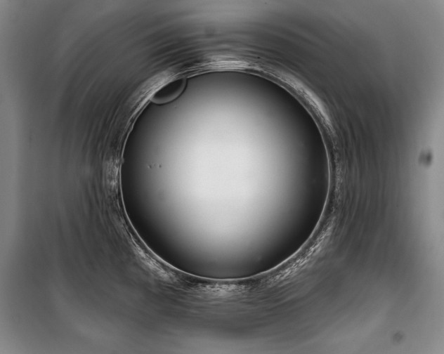 X0000101141193200806270912