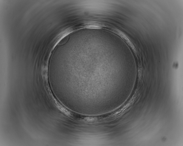 X0000101141194200806270912