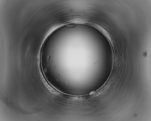 X0000101141195200806270912