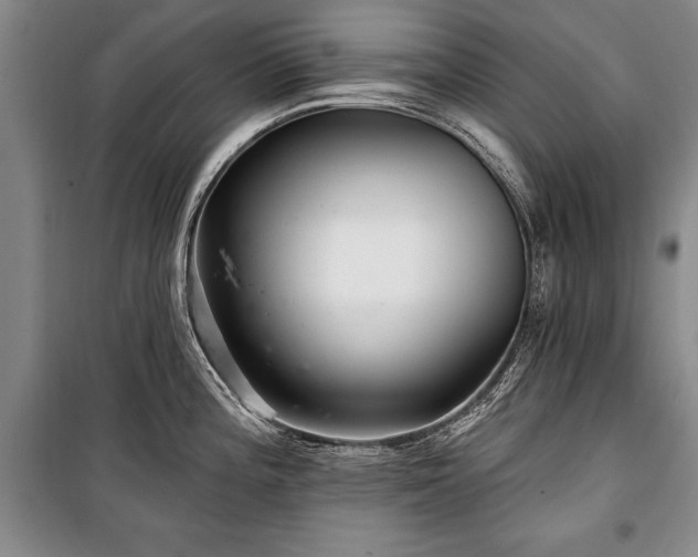 X0000101141196200806270912