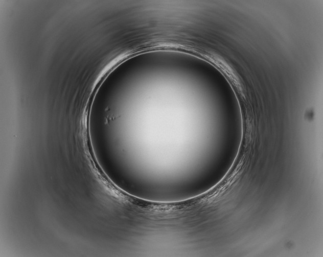 X0000101141198200806270912