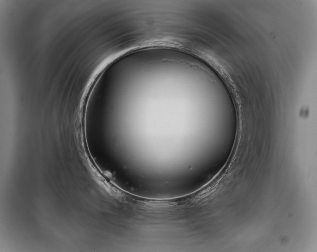 X0000101141200200806270912