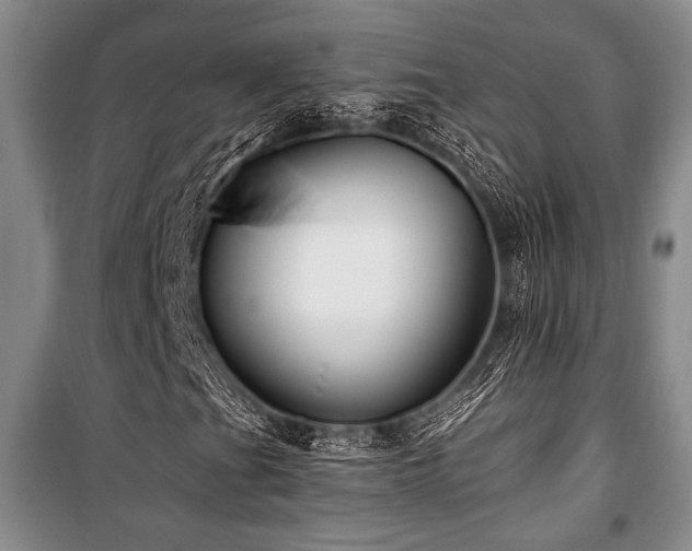 X0000101141201200806270911