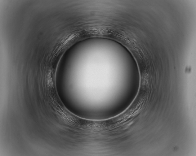 X0000101141202200806270911