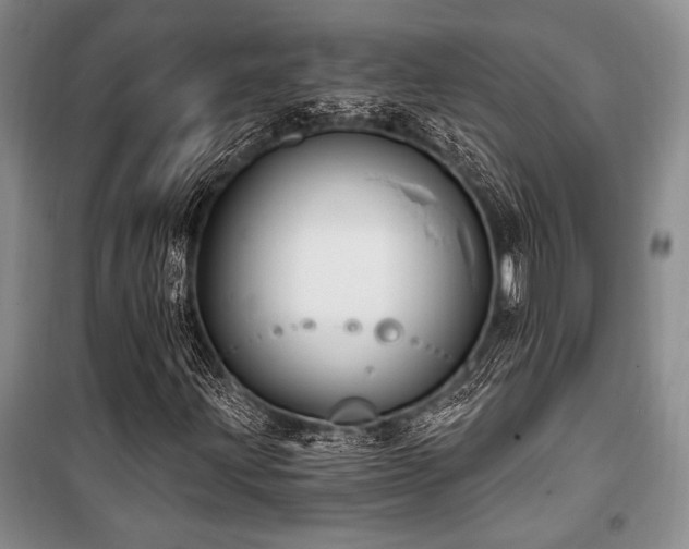 X0000101141203200806270911