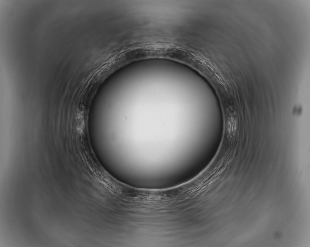 X0000101141204200806270911