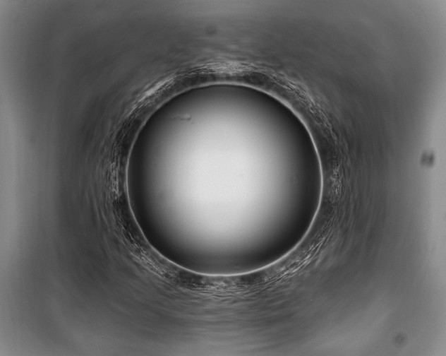 X0000101141205200806270911