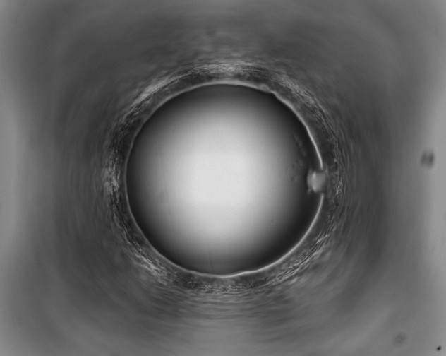 X0000101141206200806270911