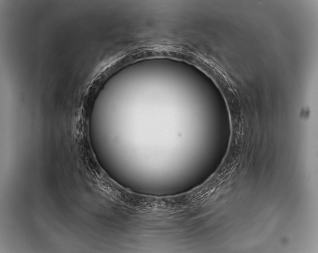 X0000101141207200806270911