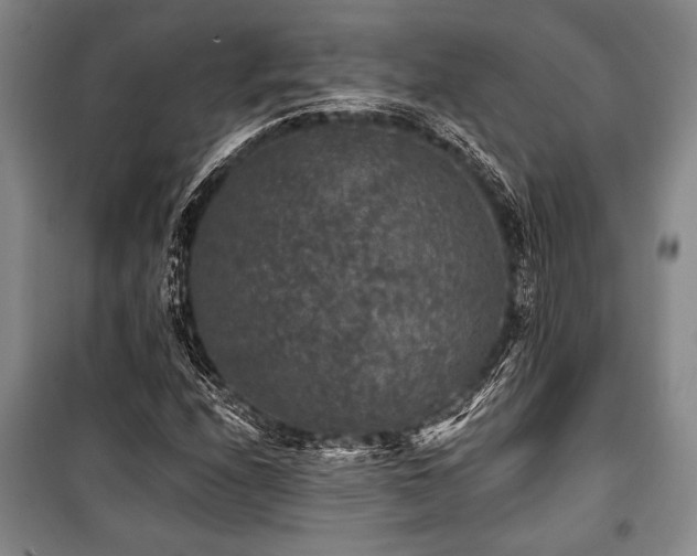 X0000101141208200806270911