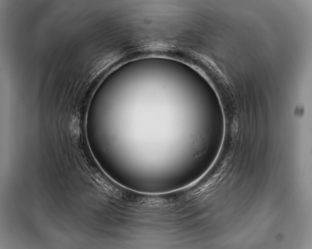 X0000101141209200806270912