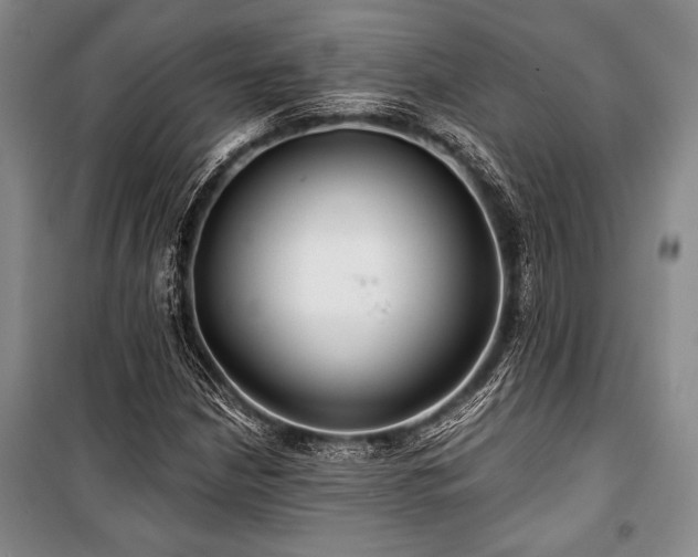 X0000101141210200806270912