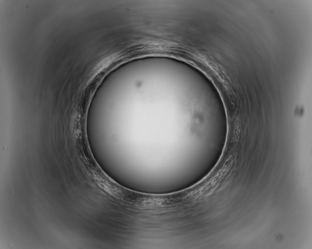 X0000101141211200806270912