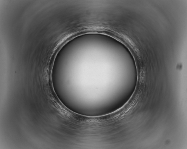 X0000101141212200806270912