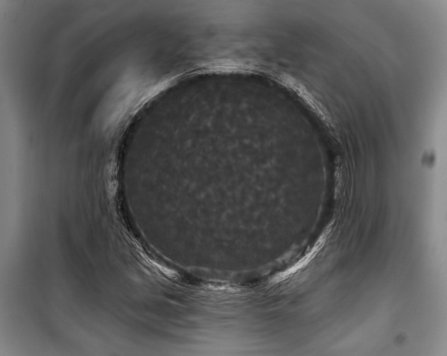 X0000101141213200806270912