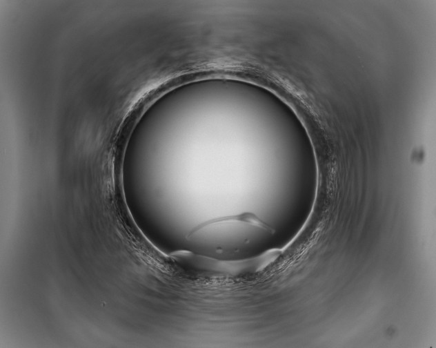 X0000101141214200806270912