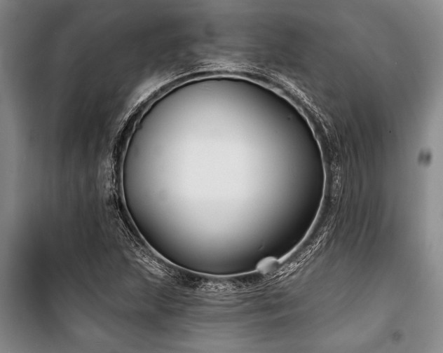 X0000101141215200806270912