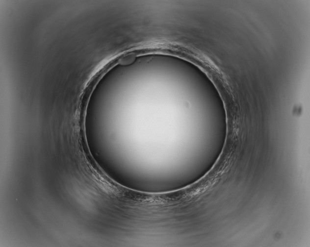 X0000101141216200806270912