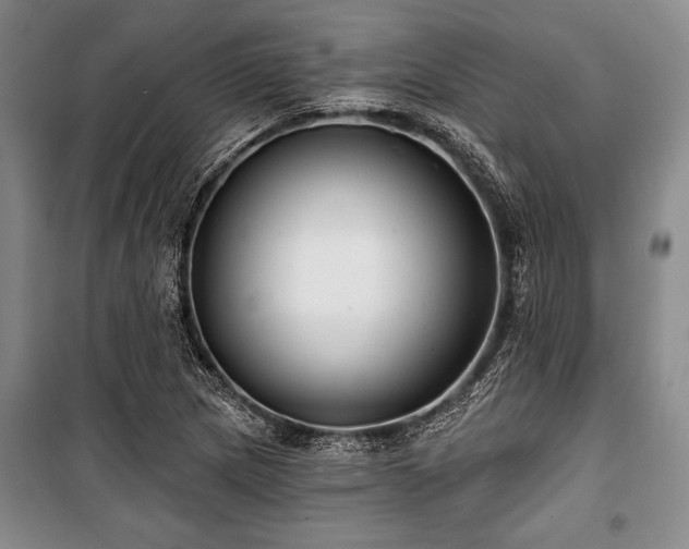 X0000101141217200806270912