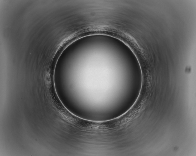 X0000101141218200806270912