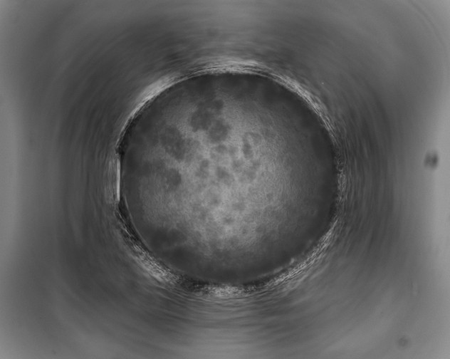 X0000101141219200806270912