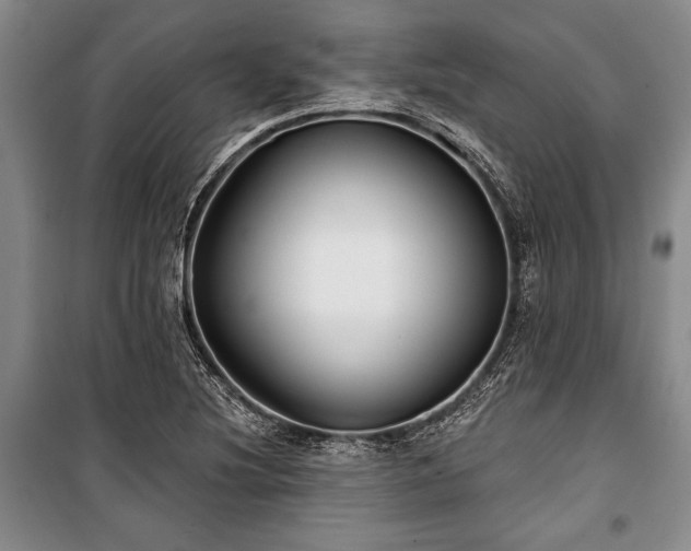 X0000101141220200806270912