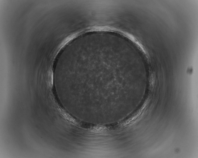 X0000101141221200806270912