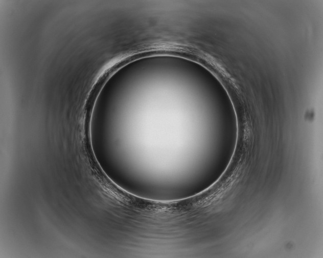 X0000101141222200806270912