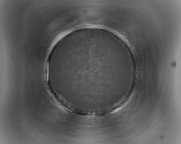 X0000101141223200806270912