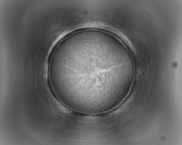 X0000101141224200806270912