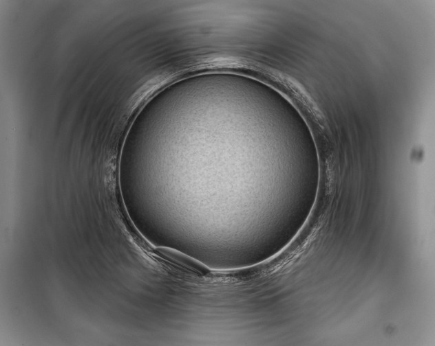 X0000101141225200806270912