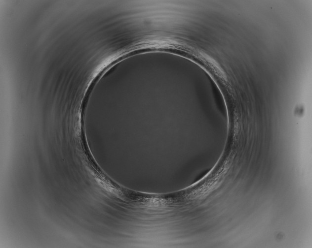 X0000101141226200806270912