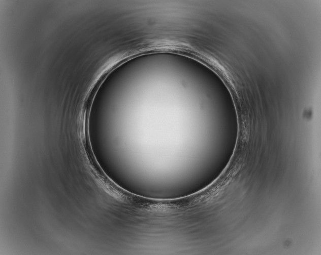 X0000101141227200806270912