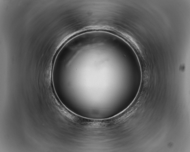 X0000101141228200806270912