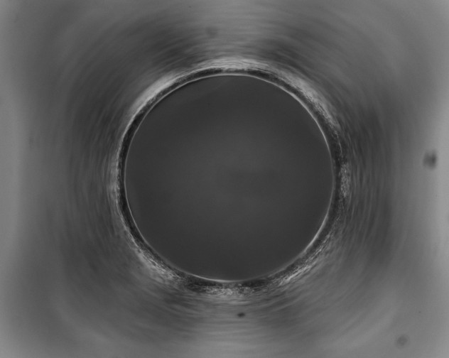 X0000101141229200806270912