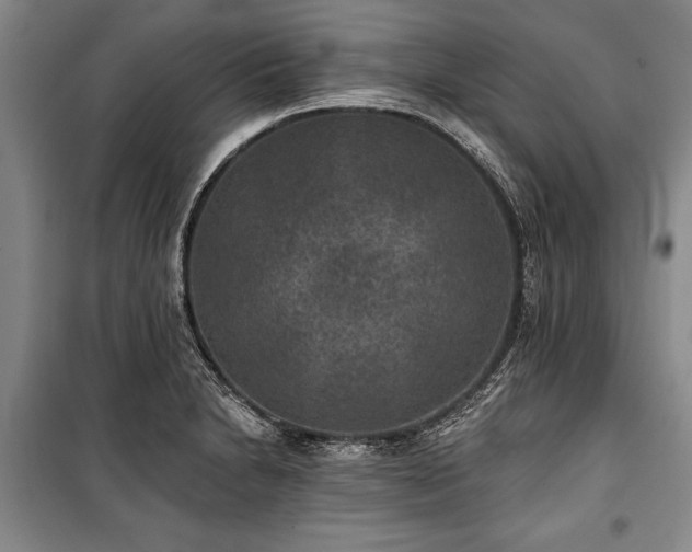 X0000101141230200806270912