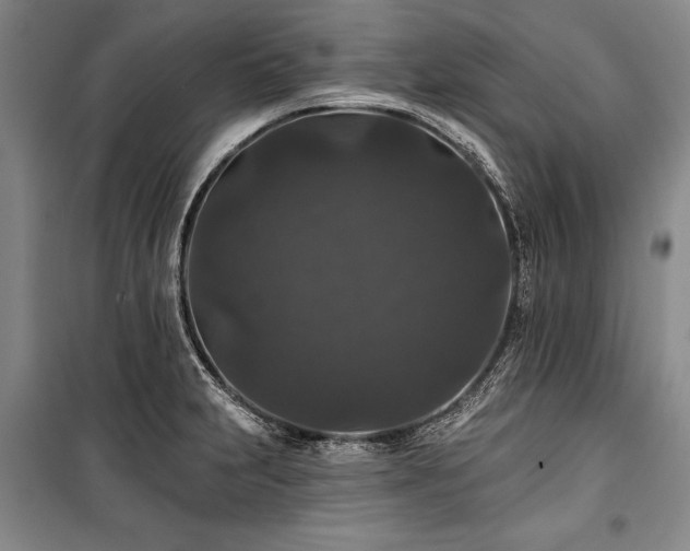 X0000101141231200806270912