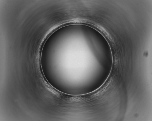 X0000101141232200806270912