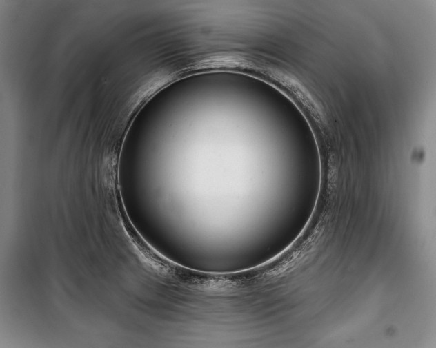 X0000101141233200806270912