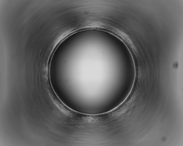 X0000101141234200806270912