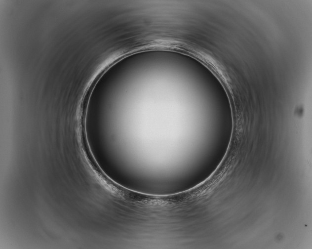 X0000101141235200806270912