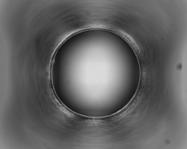 X0000101141236200806270912