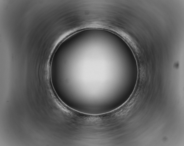 X0000101141238200806270912