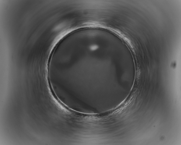 X0000101141239200806270912