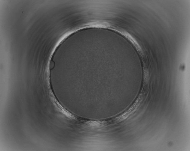 X0000101141240200806270912