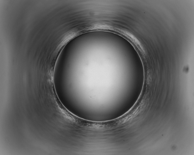 X0000101141241200806270912