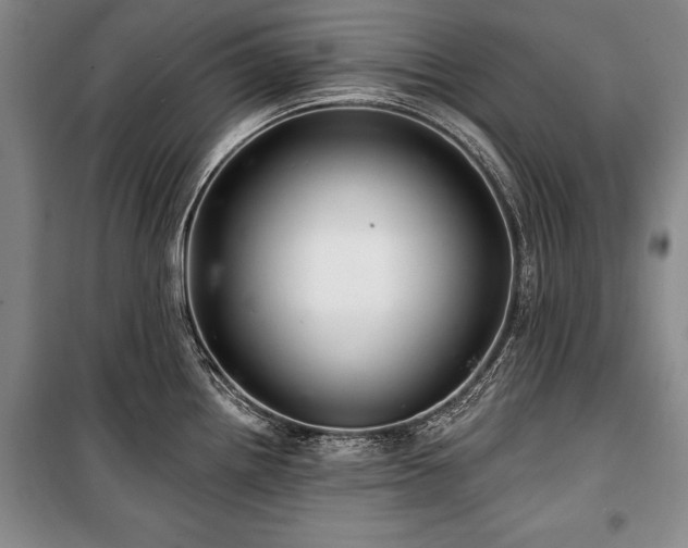 X0000101141242200806270912