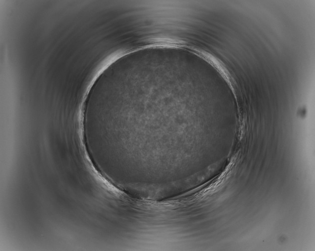 X0000101141243200806270912