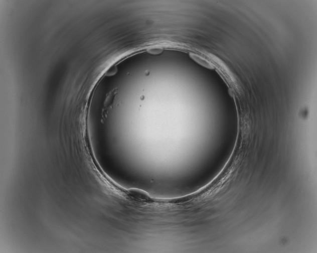 X0000101141244200806270912