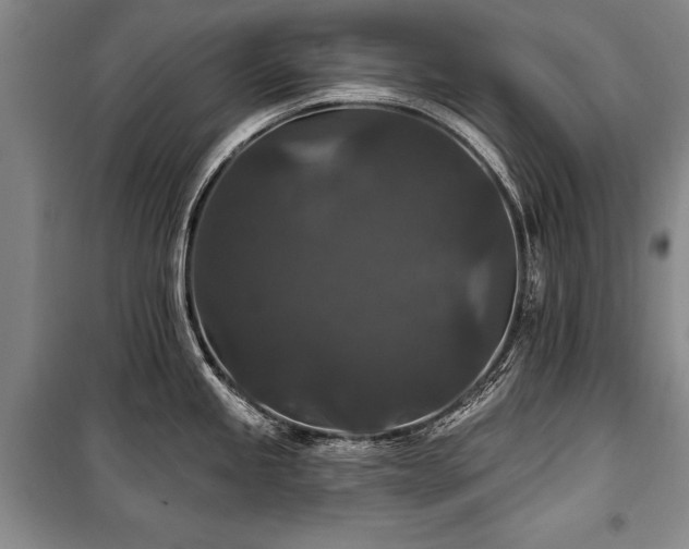 X0000101141245200806270912